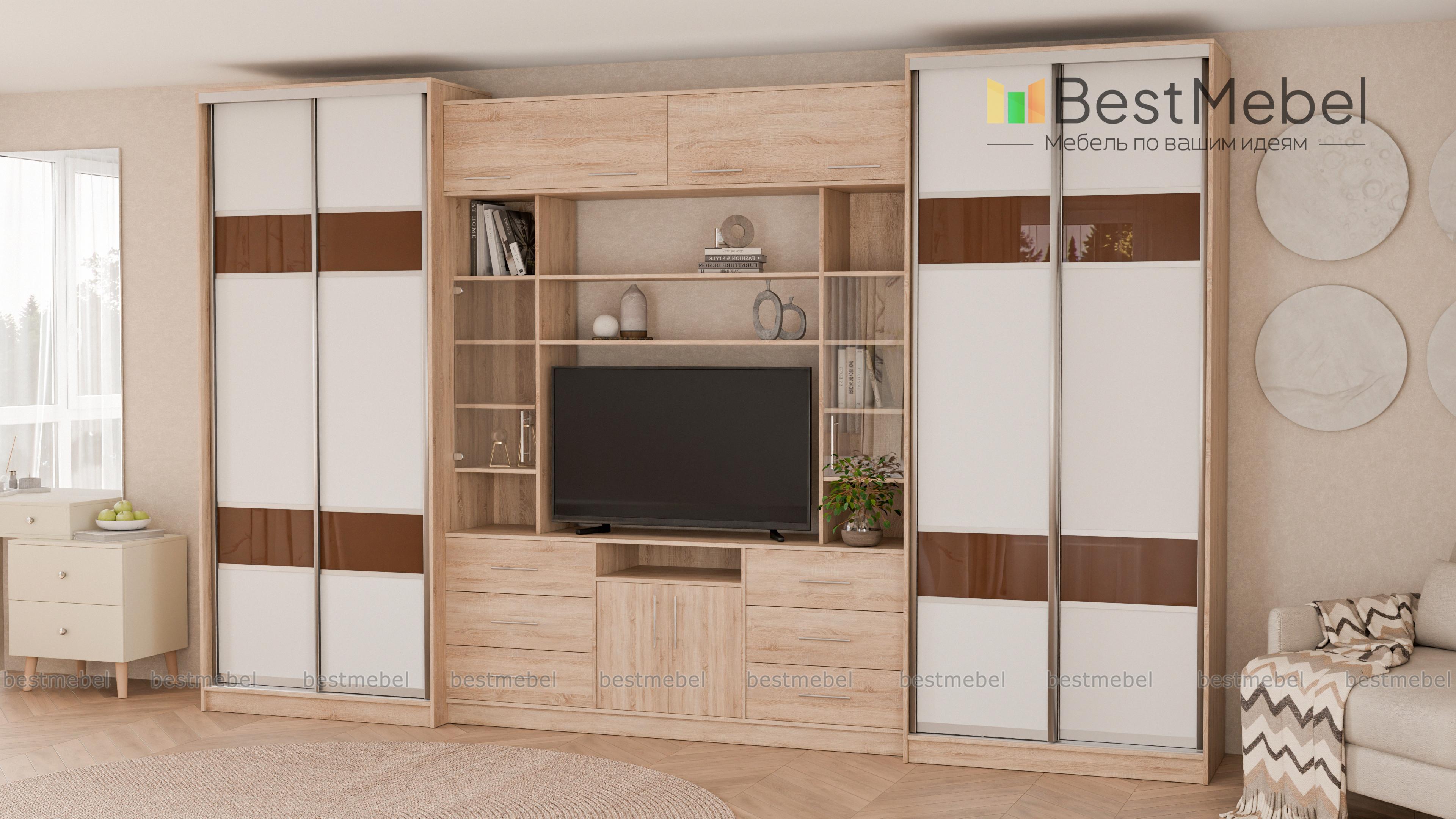 Шкаф купе TV-24 BMS - Фото