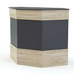 Ресепшен Рейна №3 BMS - Фото 6