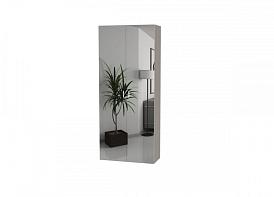 Распашной шкаф Bauhaus 8-2 BMS(Платяной отсек (станд. 2)) (700х2500х500)